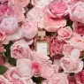 a-la-rose-70ml (6).webp