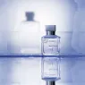 aqua-celestia-35ml (6).webp
