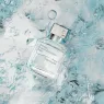 aqua-universalis-3x11ml (3).webp