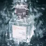 aqua-universalis-forte-35ml (5).webp