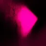 atomic-rose (5).webp