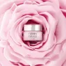 baume_de_rose_lip_balm_4_2i8F0tvny2.webp