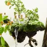 bergamot-brother (5).webp