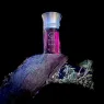 ile-pourpre-100ml (7).webp