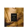 interlude_53_2_SLspygPTzJ.webp