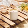 les-tamaris-scented-candle (4).webp