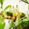 lime-sister (5).webp