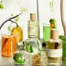 lime-sister (7).webp