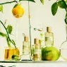lime-sister (8).webp