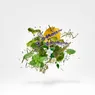 marrakechtea-200g (4).png