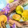 oceania (3).webp