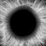 power-self (8).png