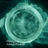 the_eye_concentrate_5_1LvJ8TxOco.webp