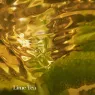 the_moisturizing_matte_lotion_6_Zo8RHThoA7.webp